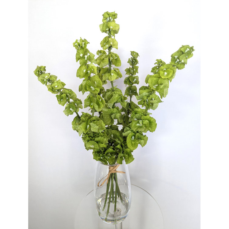 Primrue Bells of Ireland in Vase Wayfair Canada